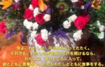 S__32604179.jpg